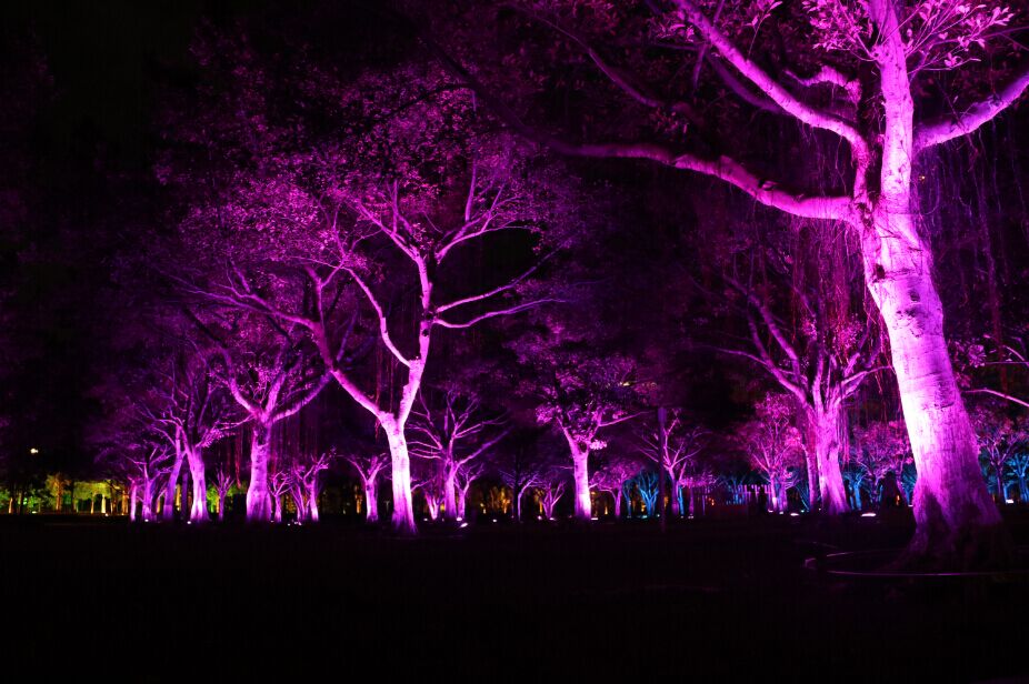 20181101165602809463