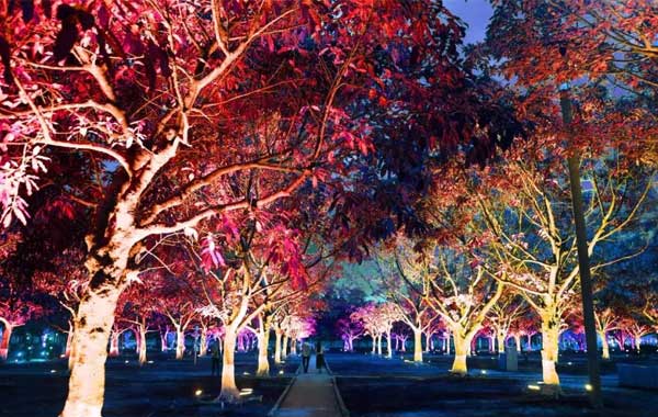 深圳海濱廣場(chǎng)