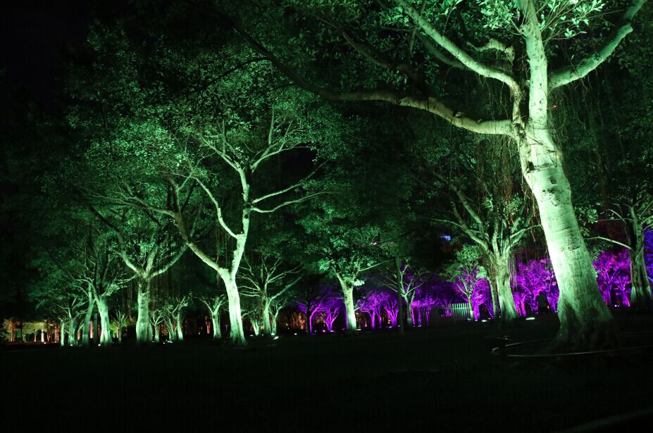 20181101165602919929