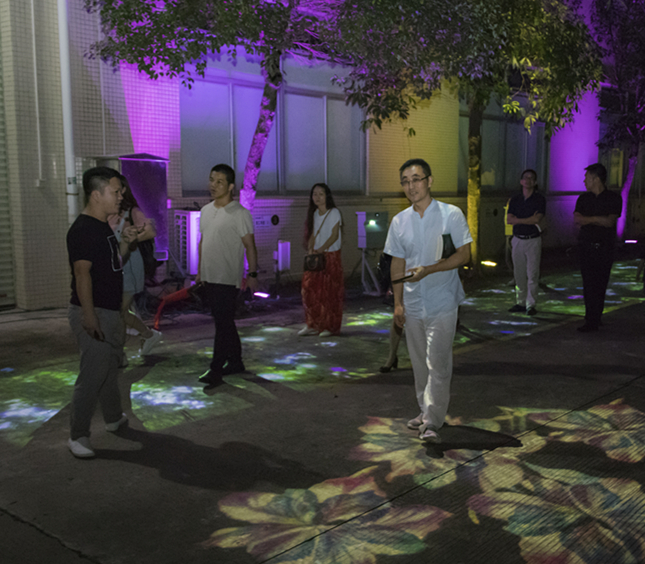 達(dá)森廠區(qū)夜景游覽 (2)_副本