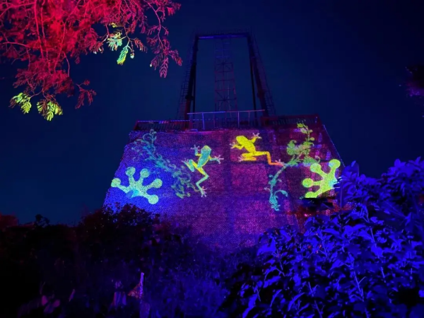 尋蛙神—尋·蛙神迷蹤