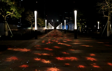 桂城千燈湖畔 醉美光影大道