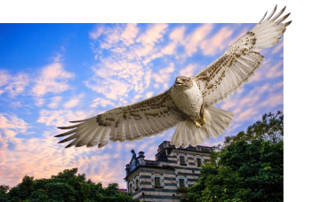 觀(guān)天初上妝，卿說(shuō)橫出世--花都人民的福利來(lái)了！